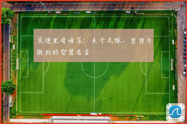 莫德里奇语录:关于足球、坚持与胜利的智慧名言