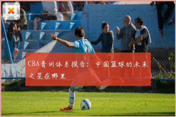 CBA青训体系报告：中国篮球的未来之星在哪里