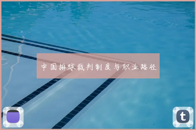 中国排球裁判制度与职业路径