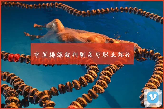 中国排球裁判制度与职业路径